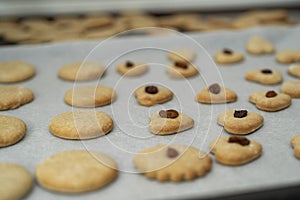 A lot of baked cookies and gingerbread on baking tray, decorated with raisins