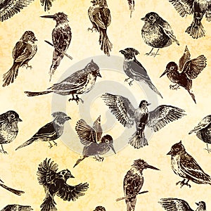 Lot of birds of different species in linocut retro style, vintage seamless pattern on old paper