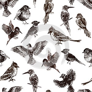 A lot of birds of different species in linocut retro style, vintage seamless pattern on white