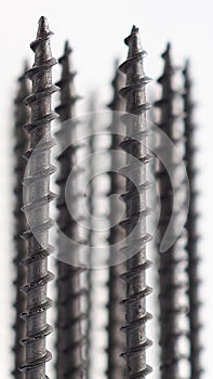 A lot of black long screws stand upright on a white background. Close-up. Hardware, ironware, ironmongery, fasteners, materials photo