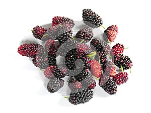 Lot of blackberries grown in Vacoas Mauritius isolated on white