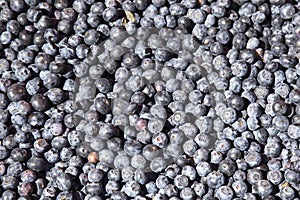 A lot of blueberries
