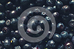 A lot of blueberries. blueberries background.