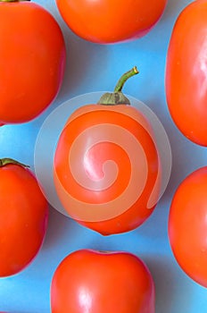 A lot of bright red juicy tomatoes on a blue background.