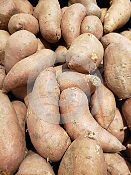 lot of brown camote in a market, background and texture photo