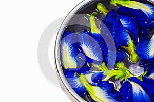 A lot of Butterfly pea or Blue pea flower on water in the silver bowl