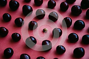 A lot of cherries and one ossicle between them on a pink background photo