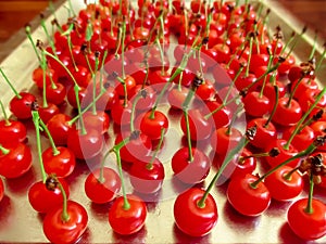 A lot of cherry fruit laid out on a metal surface - a beautiful saturated background with organic food. Red ripe juicy berries