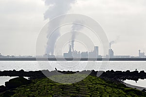 Airpollution from the 2nd Maasvlakte near Rotterdam photo