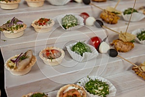 a lot of cold snacks on buffet table, catering.