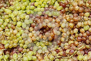 A lot of colorful juicy raisin grapes on the counter. Healthy eating, vitamins and vegetarianism. Close-up. Background