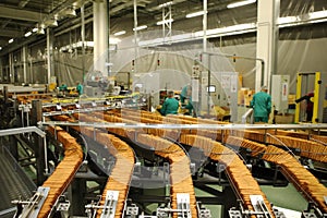 A lot of cookies on the production line. The flow of sweets before packaging. Packing crackers on the machine