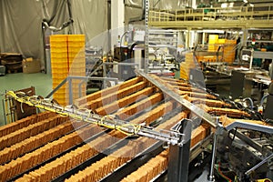 A lot of cookies on the production line. The flow of sweets before packaging. Packing crackers on the machine