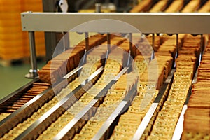 A lot of cookies on the production line. The flow of sweets before packaging. Packing crackers on the machine