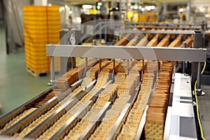 A lot of cookies on the production line. The flow of sweets before packaging. Packing crackers on the machine