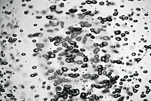 A lot of dark air bubbles of different sizes underwater on a white isolated background. Close up of light lit oxygen