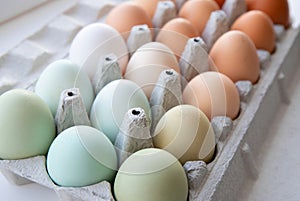 Lot of different color chicken eggs arranged by color on paper egg box. Colors: blue, green, white, beige, brown.