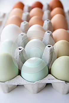 Lot of different color chicken eggs arranged by color on paper egg box. Colors: blue, green, white, beige, brown.