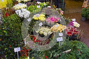 A lot of different color tulips in the shop at Amsterdam flower market, Netherlands.