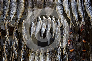 A lot of dried fish hanging on the ropes. A delicacy on the market counter. Close-up