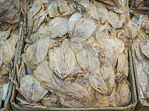 A lot of dried squid at market.