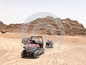 A lot of four-wheeled multicolored powerful fast off-road four-wheel drive buggies, cars, SUVs in the sandy hot desert on the sand