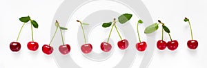 Cherry with green leaves isolated on white background