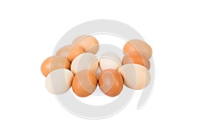 A lot of fresh eggs, white and brown