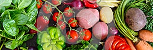 A lot of fresh organic vegetables on a wooden background.