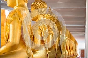 A Lot of Golden Statue of Buddha sitting meditated  in the row at Thailand Temple