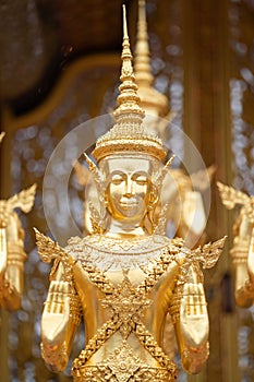 A Lot of Golden Statue standing in the temple