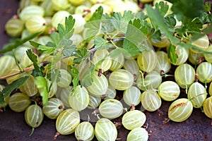 A lot of gooseberry