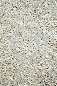 A lot of gray little raw rice grains are lying on the table. The view from the top. Close up.