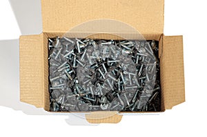 A lot of the gray screws in a cardboard box