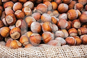 A lot of hazelnuts closeup wallpaper