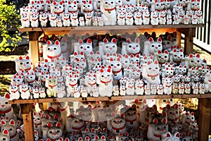 A lot of japanese lucky cats in japan shrine