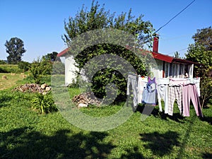 Lot of laundry hanging and drying in the yard on a sunny day