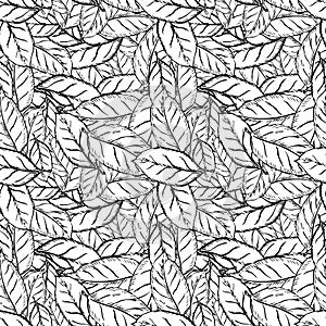 Lot of leafs in classic engraving style, seamless pattern on white