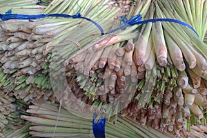 A lot of lemon grass for the food industry
