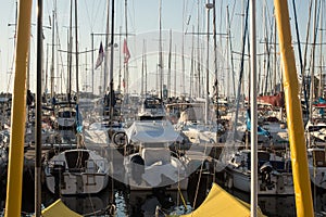 A lot of moored yachts