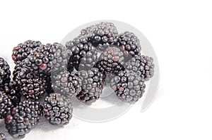 A lot more fresh sweet blackberry`s