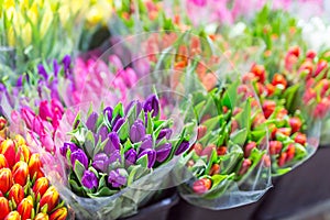 Lot of multicolored tulips bouquets. Flower market or store. Wholesale and retail flower shop. Florist service. Woman day