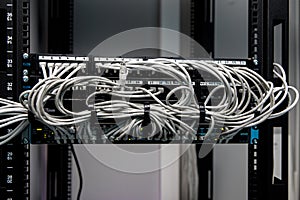 A lot of network cables connected in a big network switch