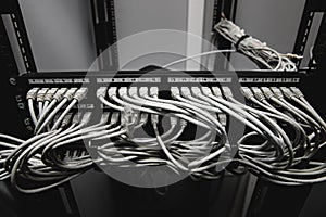 A lot of network cables connected in a big network switch