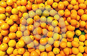 A lot of oranges