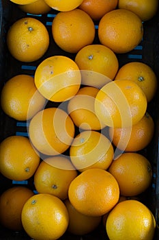 a lot of oranges in a box