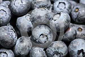 A lot of organic Blueberries
