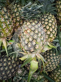 A lot of pineapple piles up