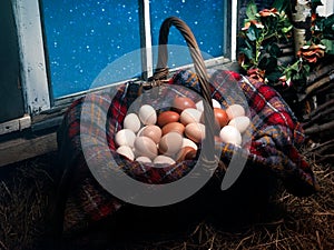 A lot of poultry eggs in the hayloft in the basket