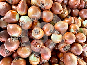 A lot of raw onions are stacked on top of each other.